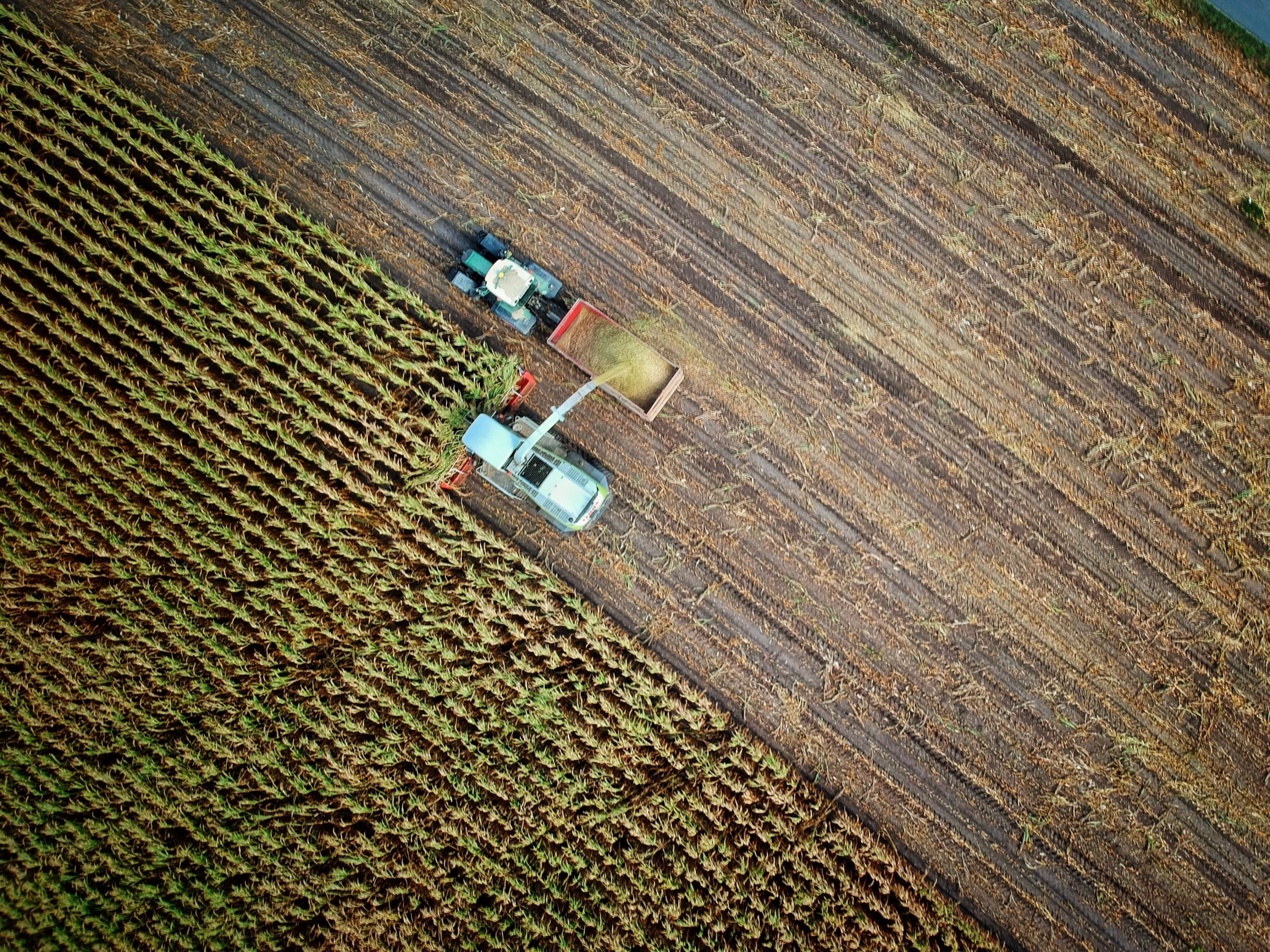 La industria alimentaria de Castilla y León logra un aprobado en incorporación de tecnologías digitales