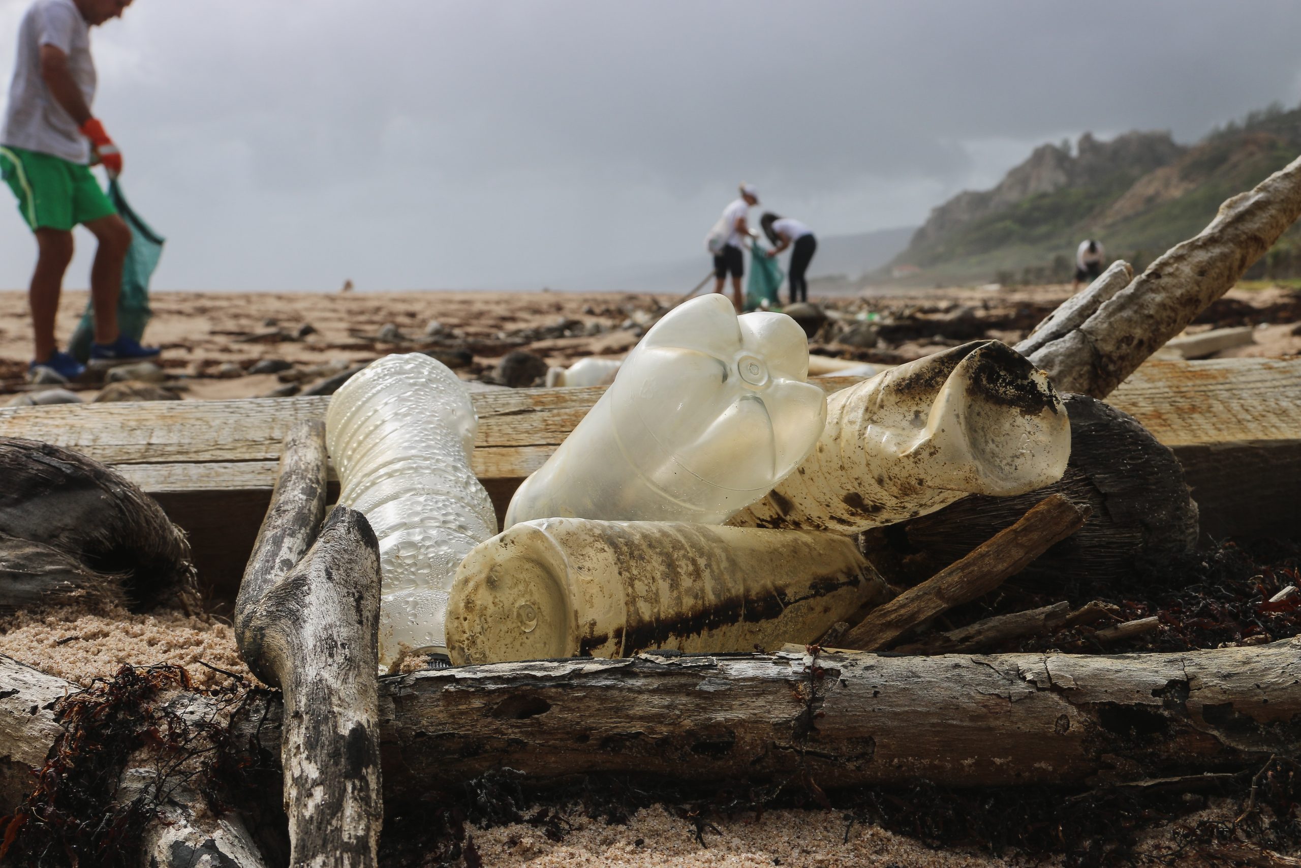 Pesca 100% sostenible, sacarosa vía satélite y limpieza de playas, ideas de sostenibilidad en el ecosistema de Atlas