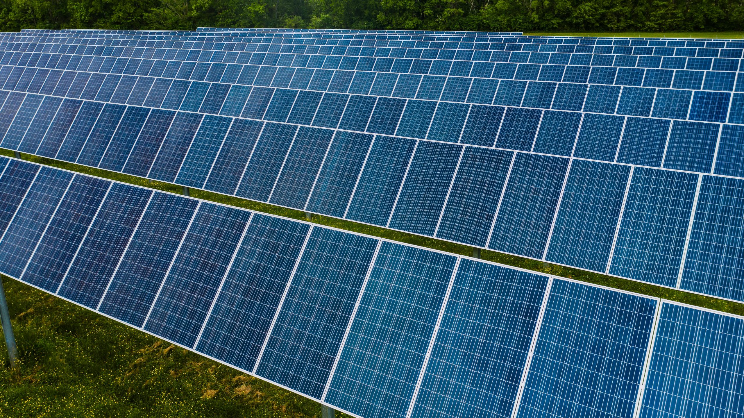Así implementan la energía solar fotovoltaica Huercasa, Pago de Carraovejas, Fermax y Estrella de Levante