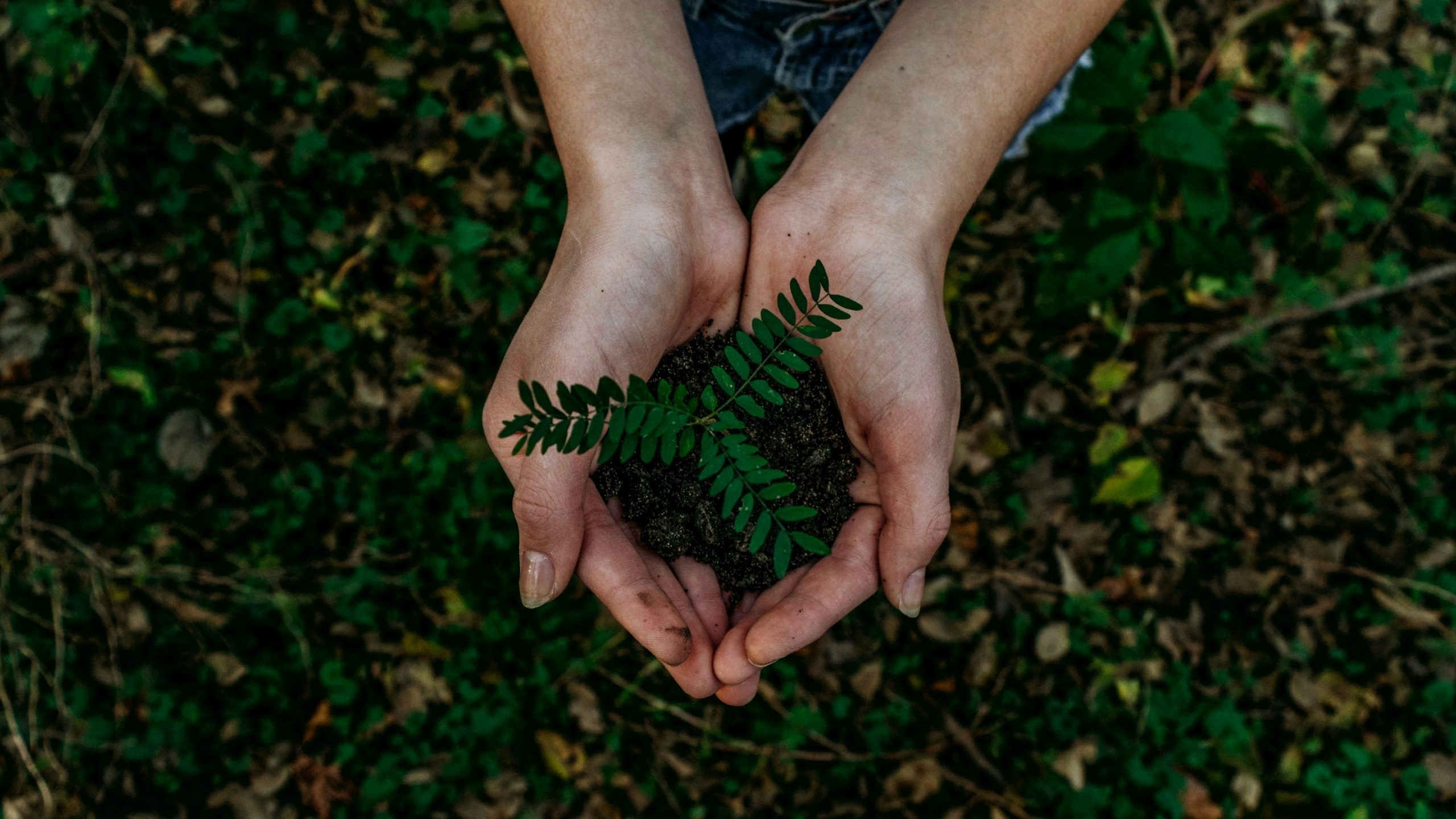 Transformando el reciclaje: empresas que lideran el camino hacia la sostenibilidad
