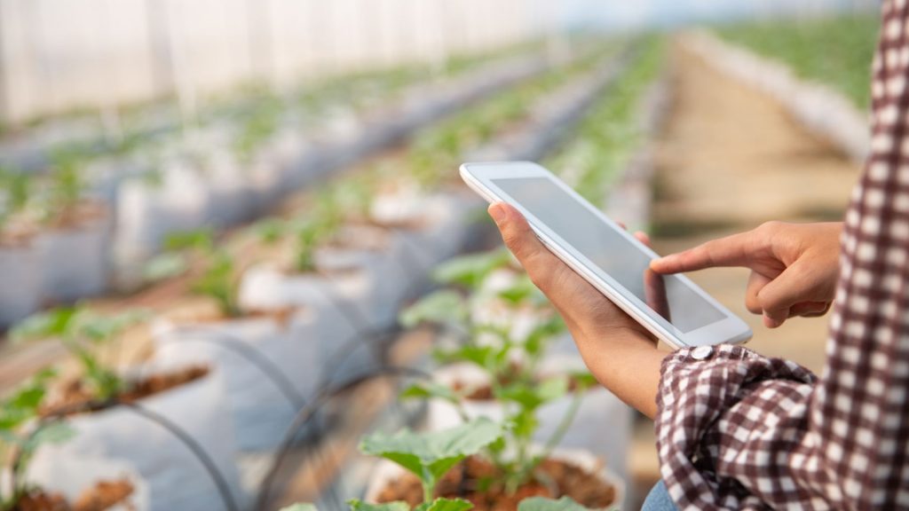 El 93 % de las explotaciones agrícolas de la UE usa herramientas digitales, pero las soluciones avanzadas apenas despegan